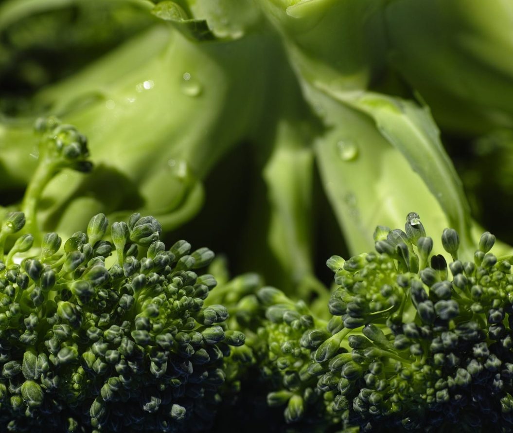 Close up of broccoli.