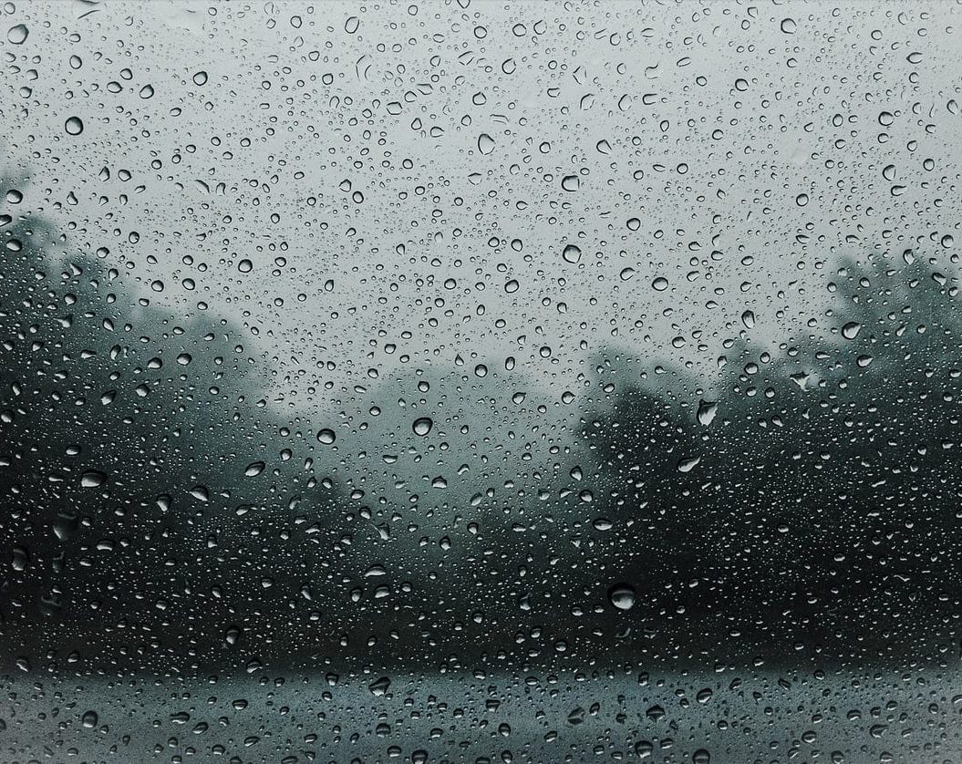 Raindrops on a window blurring trees behind