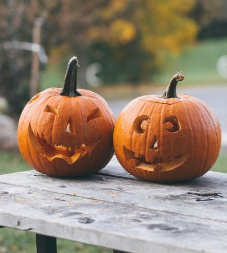 Two carved pumpkins on a bench
