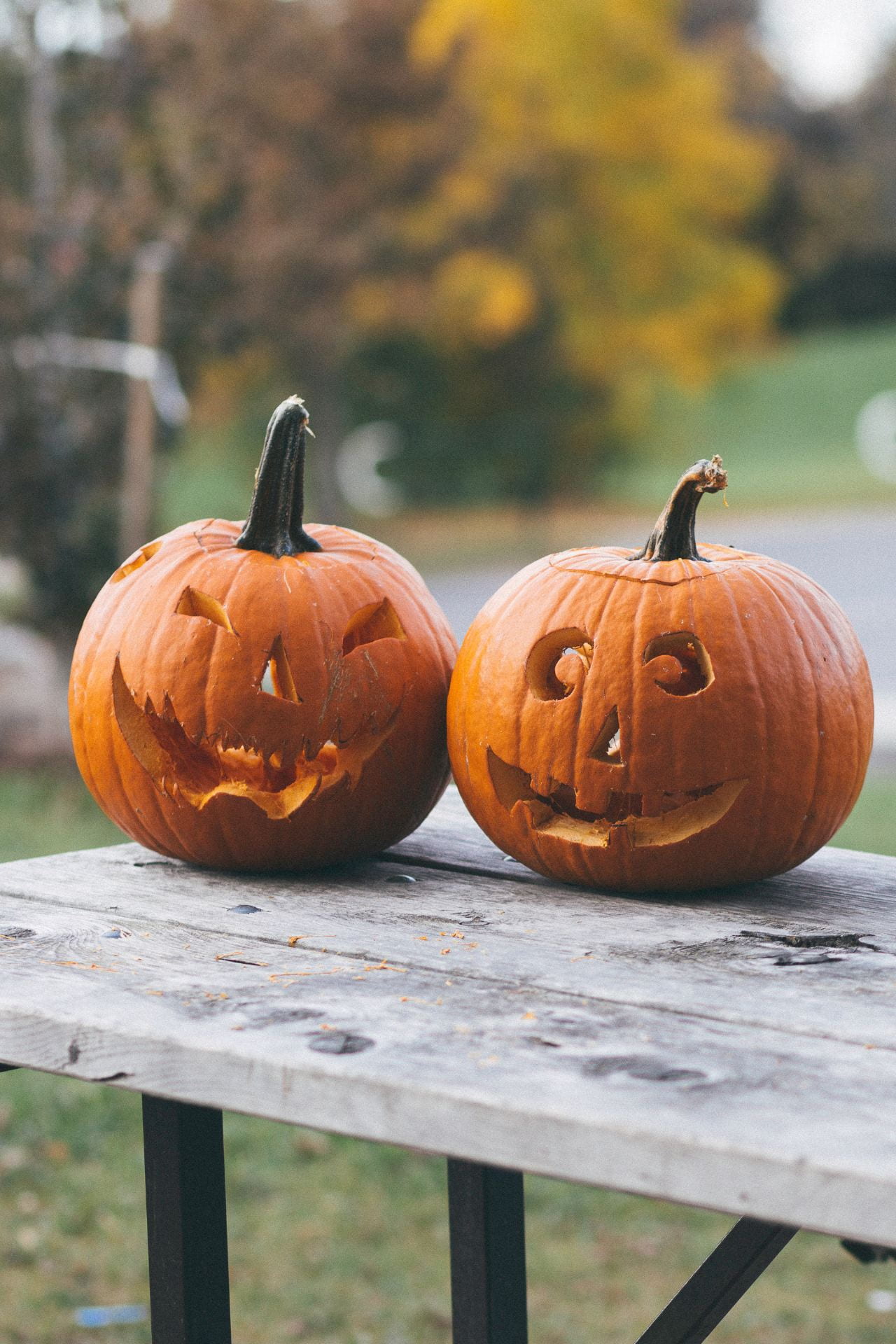 Two carved pumpkins on a bench
