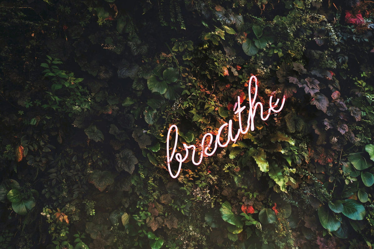 Neon pink sign saying 'breathe' on a wall of leaves