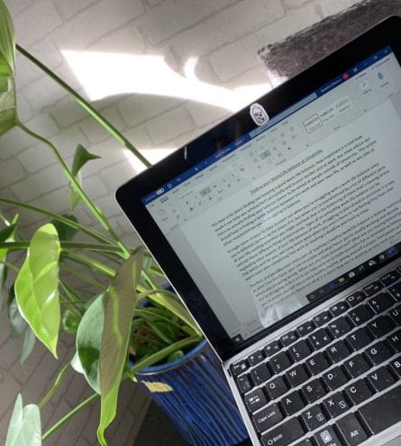 doing work on a laptop in front of a plant