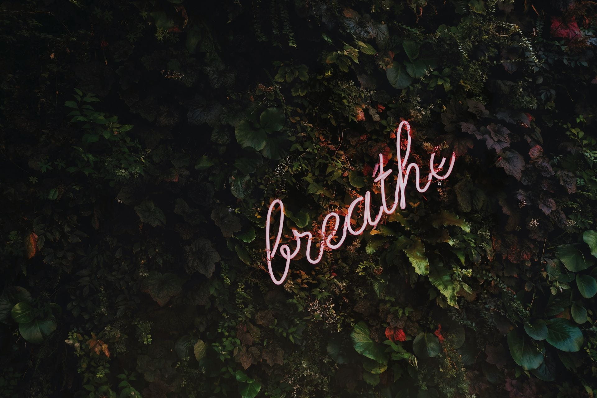 neon sign saying 'breathe'
