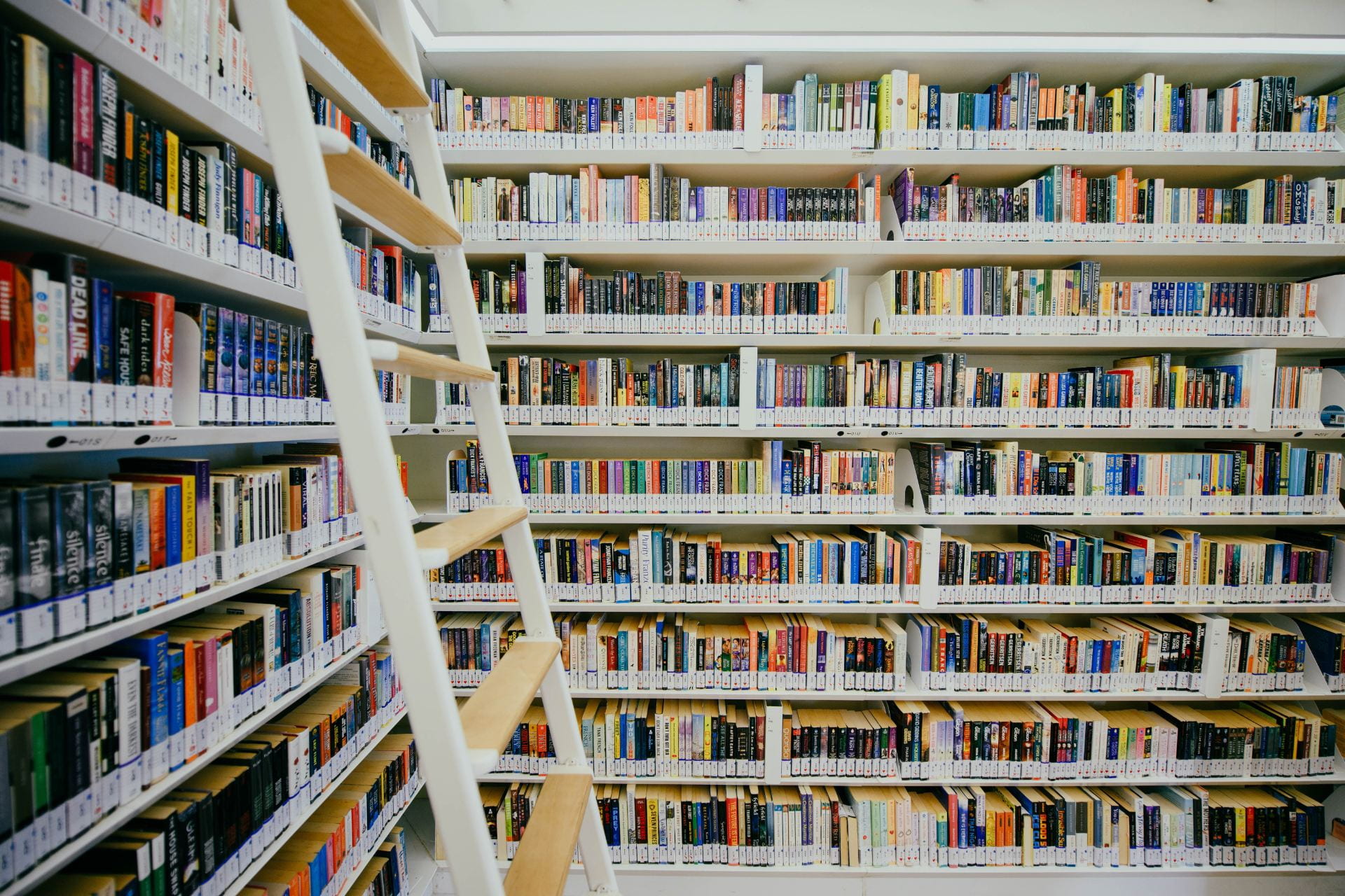 Shelves full of books in a library