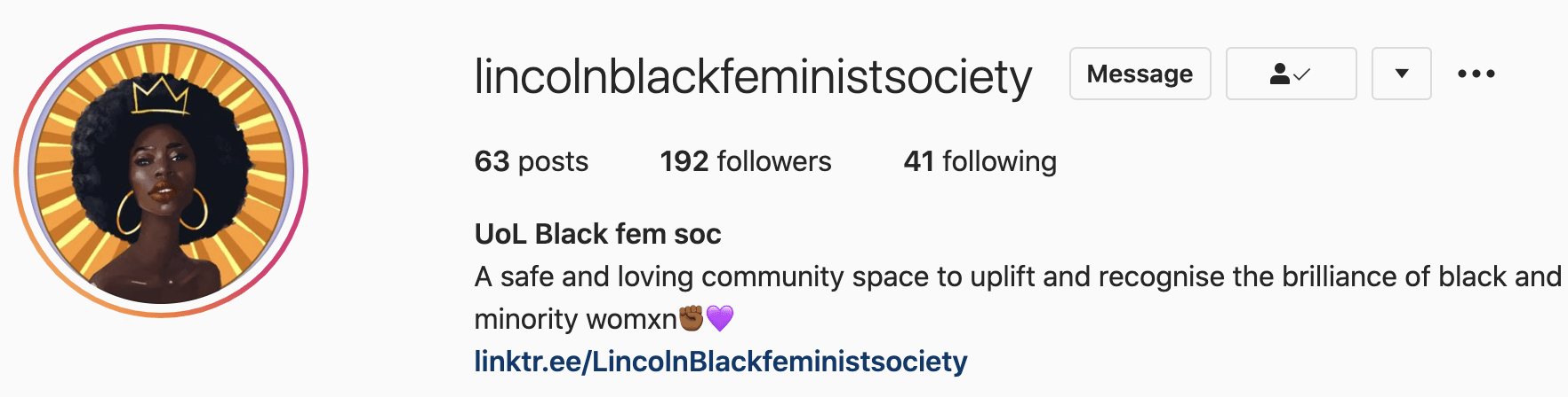 Screenshot of lincolnblackfeministsociety Instagram profile