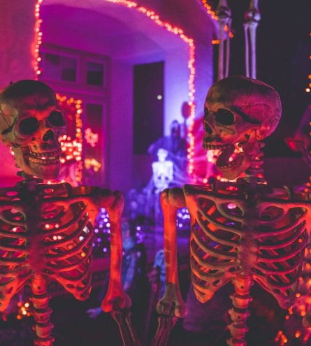 Two fake skeletons sat in front of purple neon lights