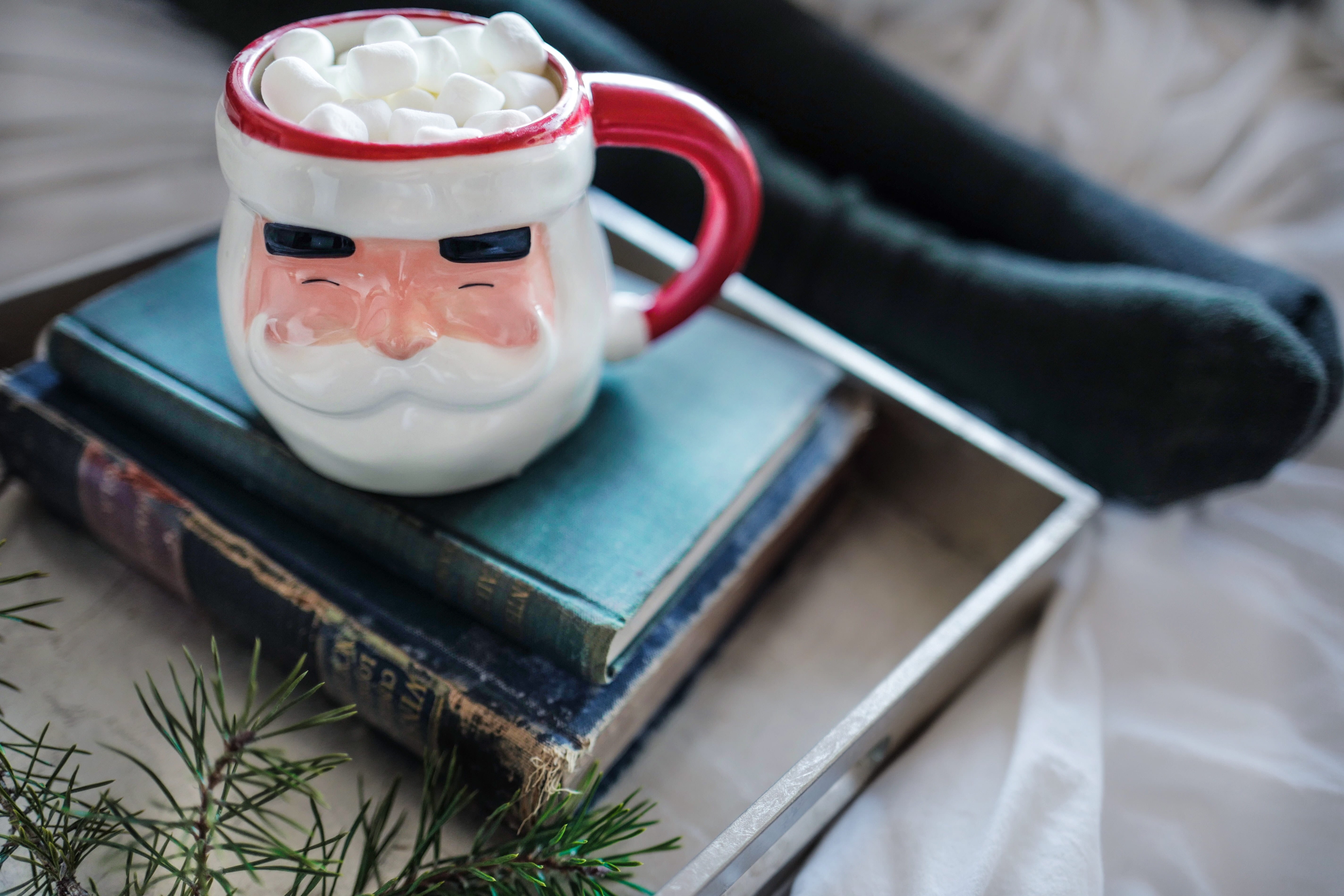 Santa shaped mug sat on stack of books