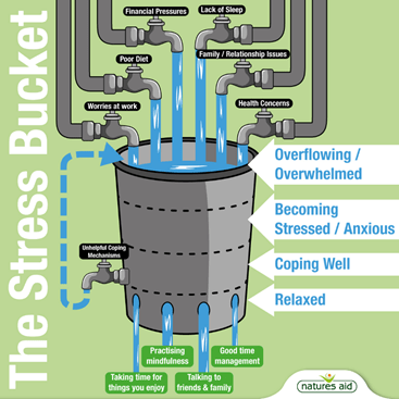 A diagram of the stress bucket. It is a bucket with taps filling it up with water. These taps are labeled financial pressures, lack of sleep, poor diet, family/relationship issues, worries at work and health concerns. 

On the side of the bucket is another tap with an arrow directing it back to the top of the bucket, demonstrating it feeding water back into the bucket. This is labeled unhelpful coping mechanisms. 

At the bottom of the bucket, there are four holes through which water is draining out. These are labeled taking time for things you enjoy, practising mindfulness, talking to friends & family and good time management.

The bucket is divided into four sections from top to bottom. These represent water level. At the top is overflowing/overwhelmed, followed by becoming stressed/anxious, followed by coping well, and at the bottom is relaxed. 

The diagram is labeled The Stress Bucket and is credited to natures aid.