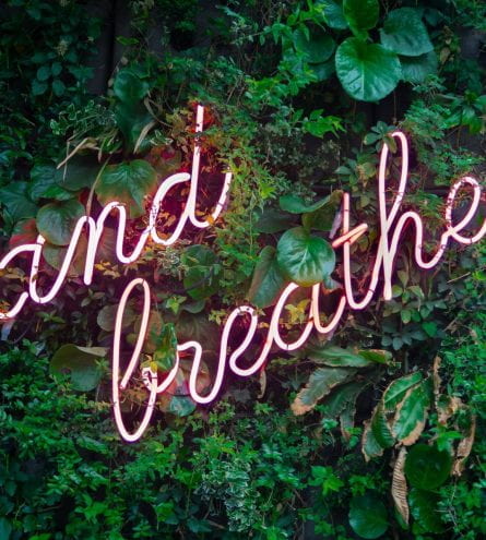 A neon light sign saying 'and breathe' surrounded by fake plants