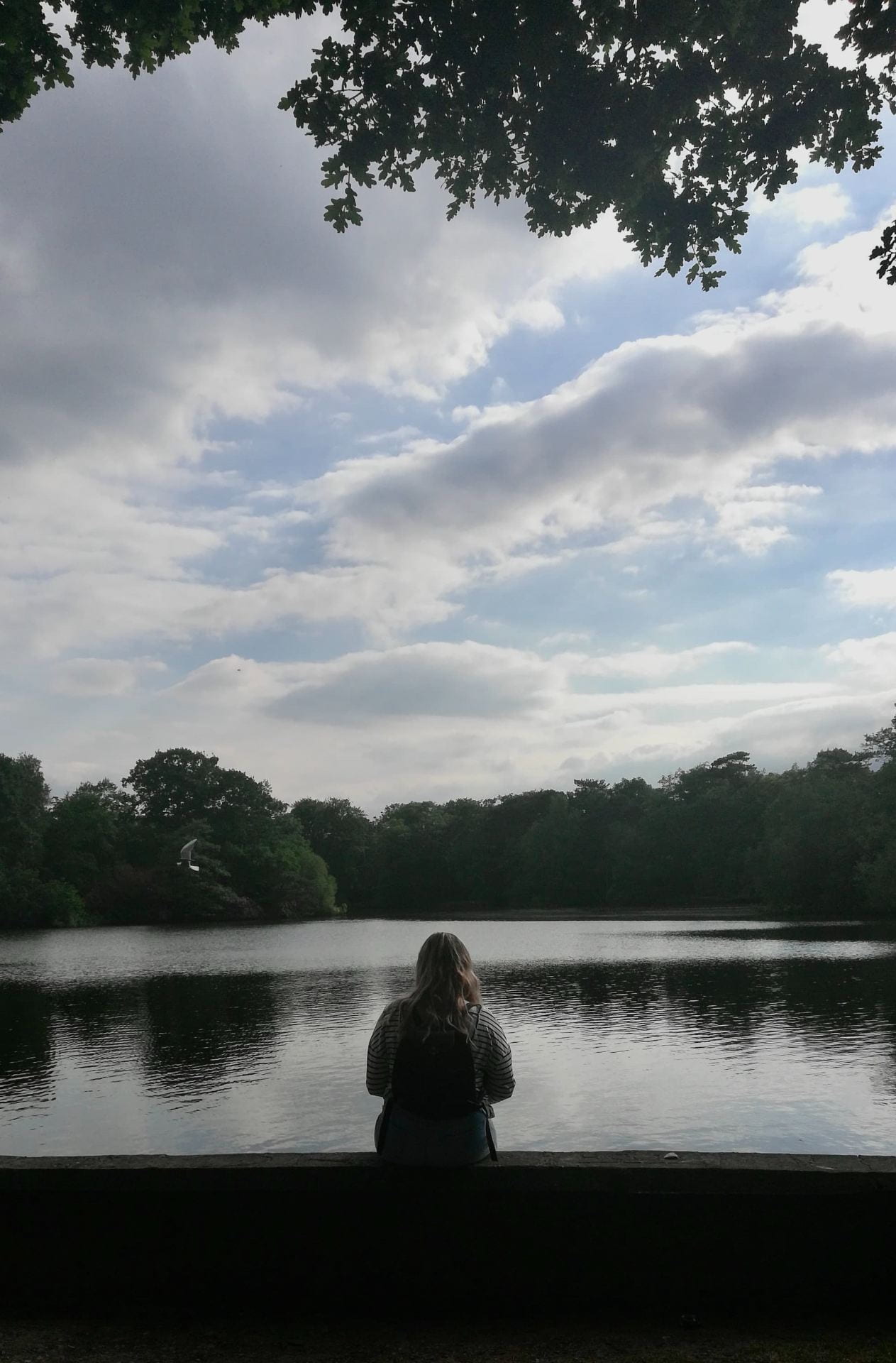 Picture of a girl sat with her back to the camera looking out to Hartsholme Lake