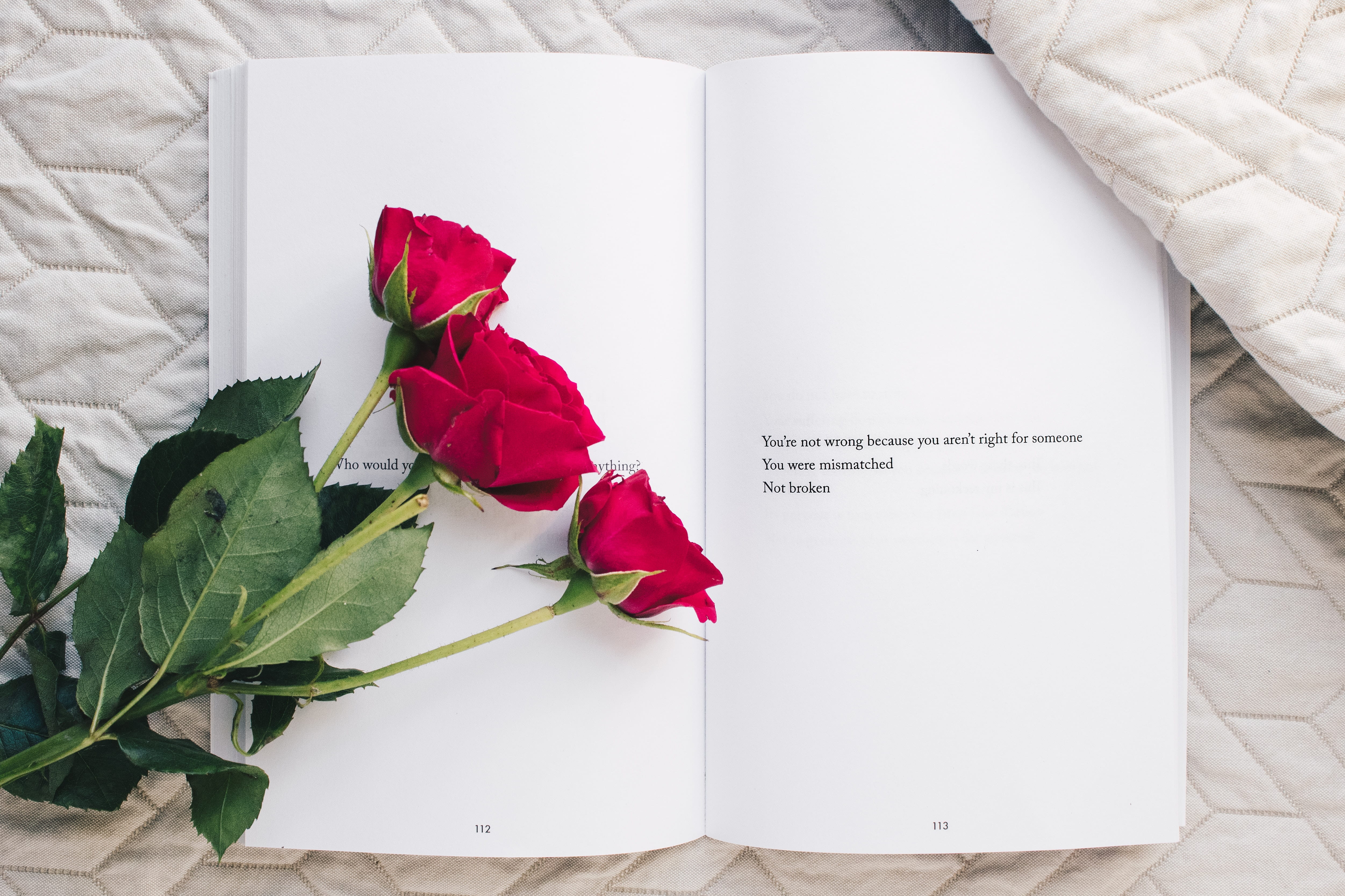 Three roses on a book
