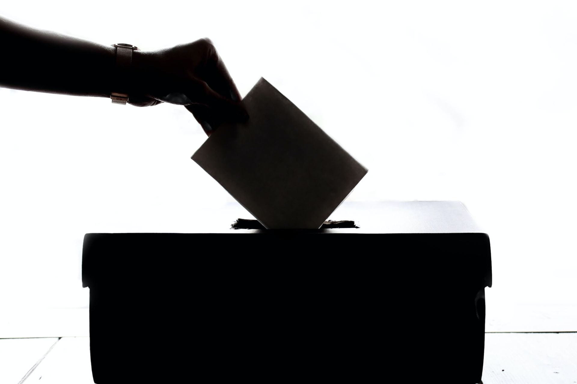 silhouette of a ballot box
