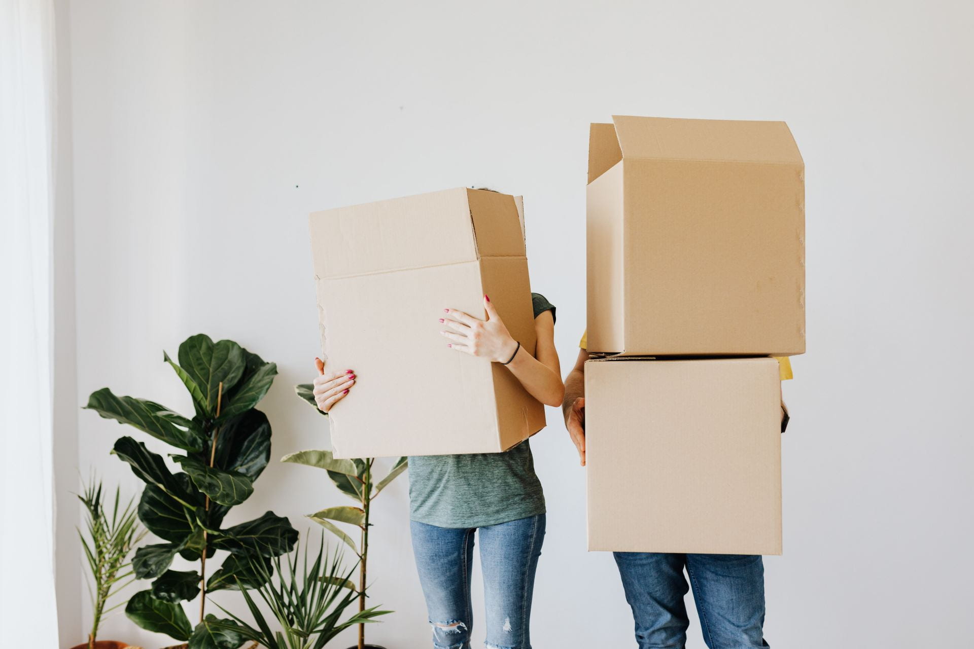 Two people holding boxes. The person on the left is holding one box and the person on the right is holding two. The boxes are large and cover their faces. In the background there is a white wall and some house plants.