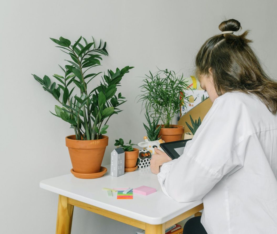 Someone sat at a desk surrounded by plants