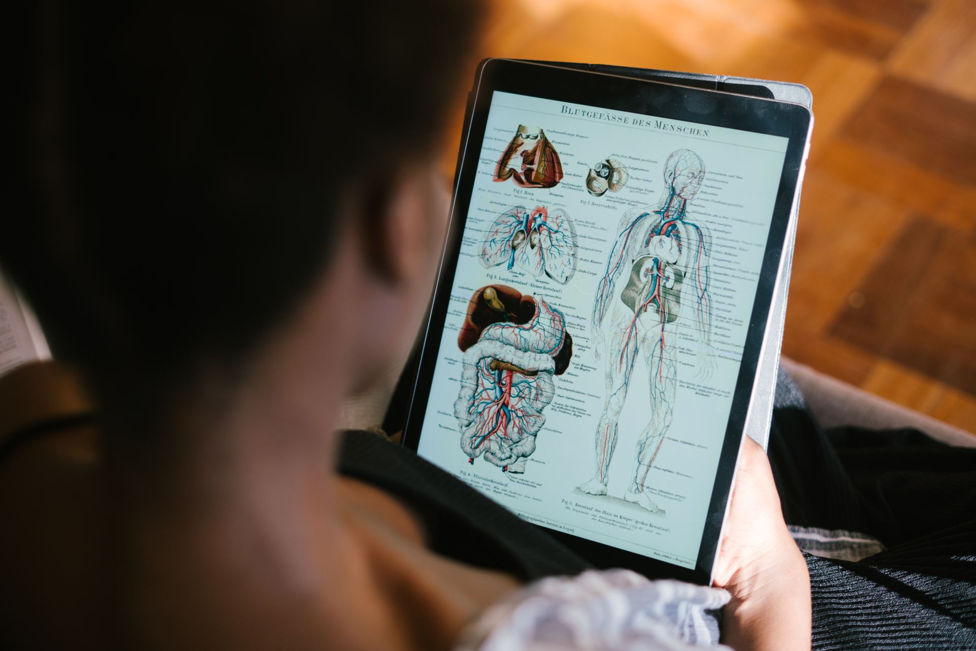 A person looking at an Ipad with the human body in detail. 