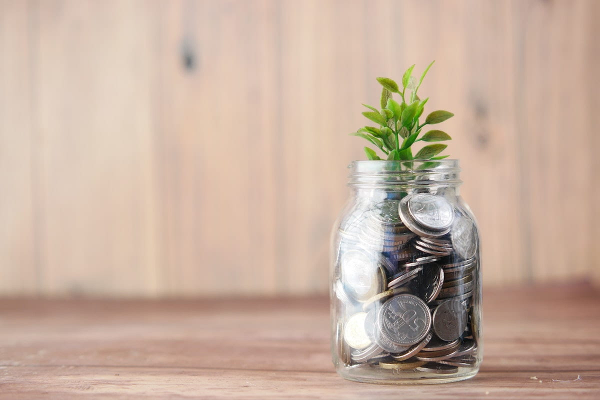 a jar with coins and a plant