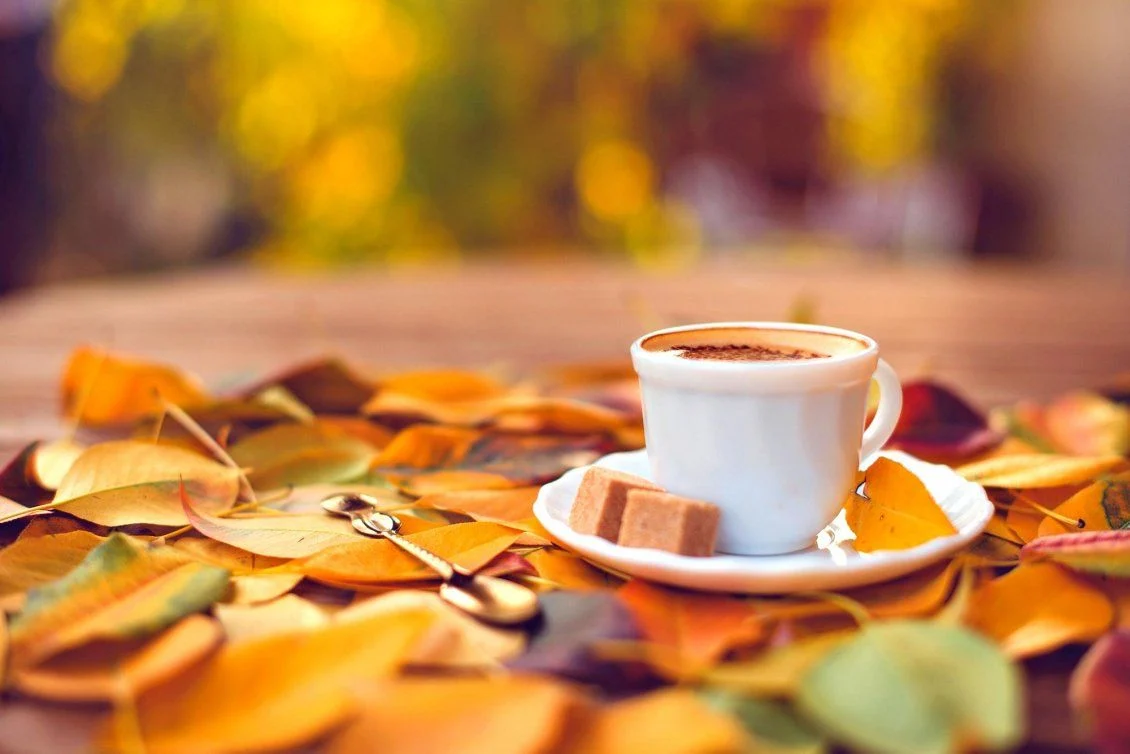 A coffee in a white cup and saucer with two pieces of fudge and a vintage-style teaspoon, all resting on a pile of autumn leaves.