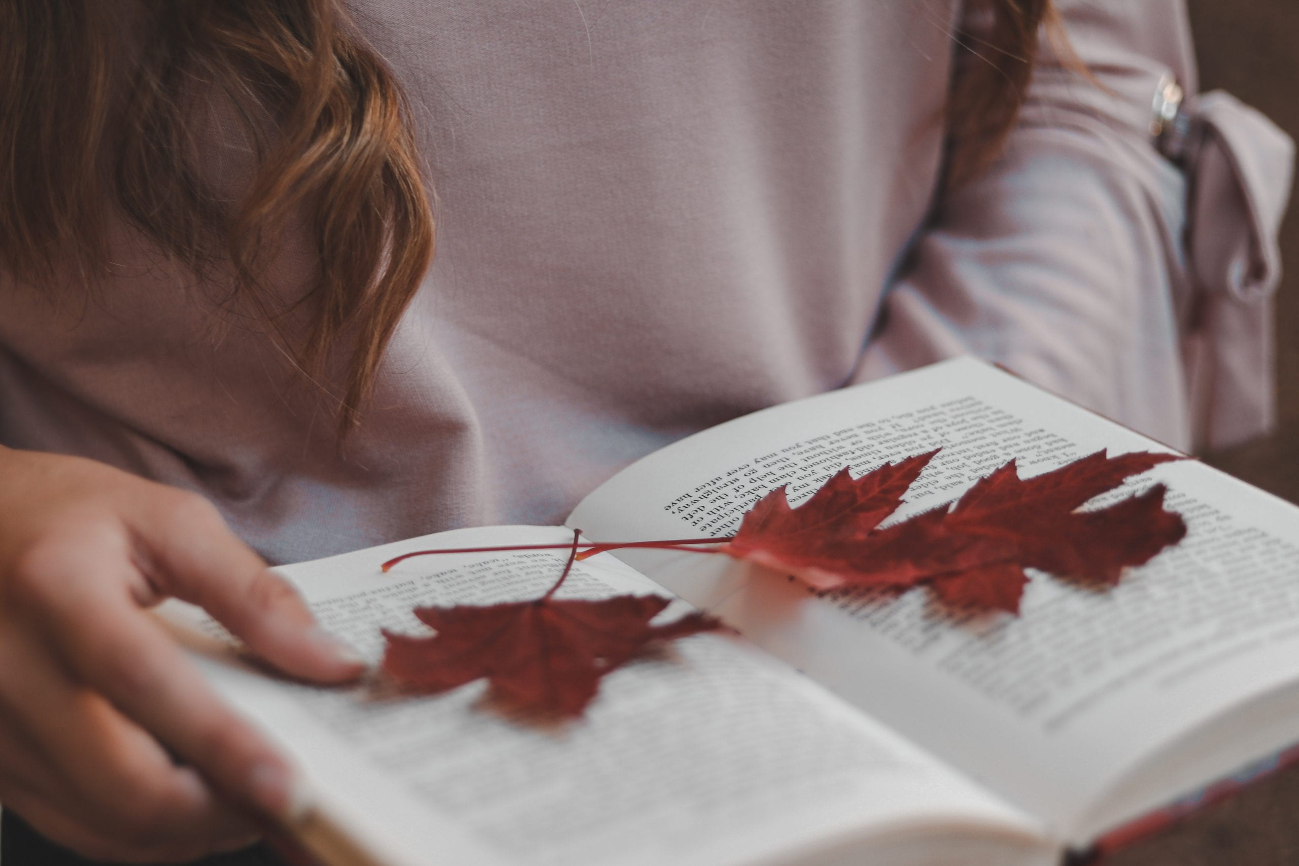 a book with autumn leaves