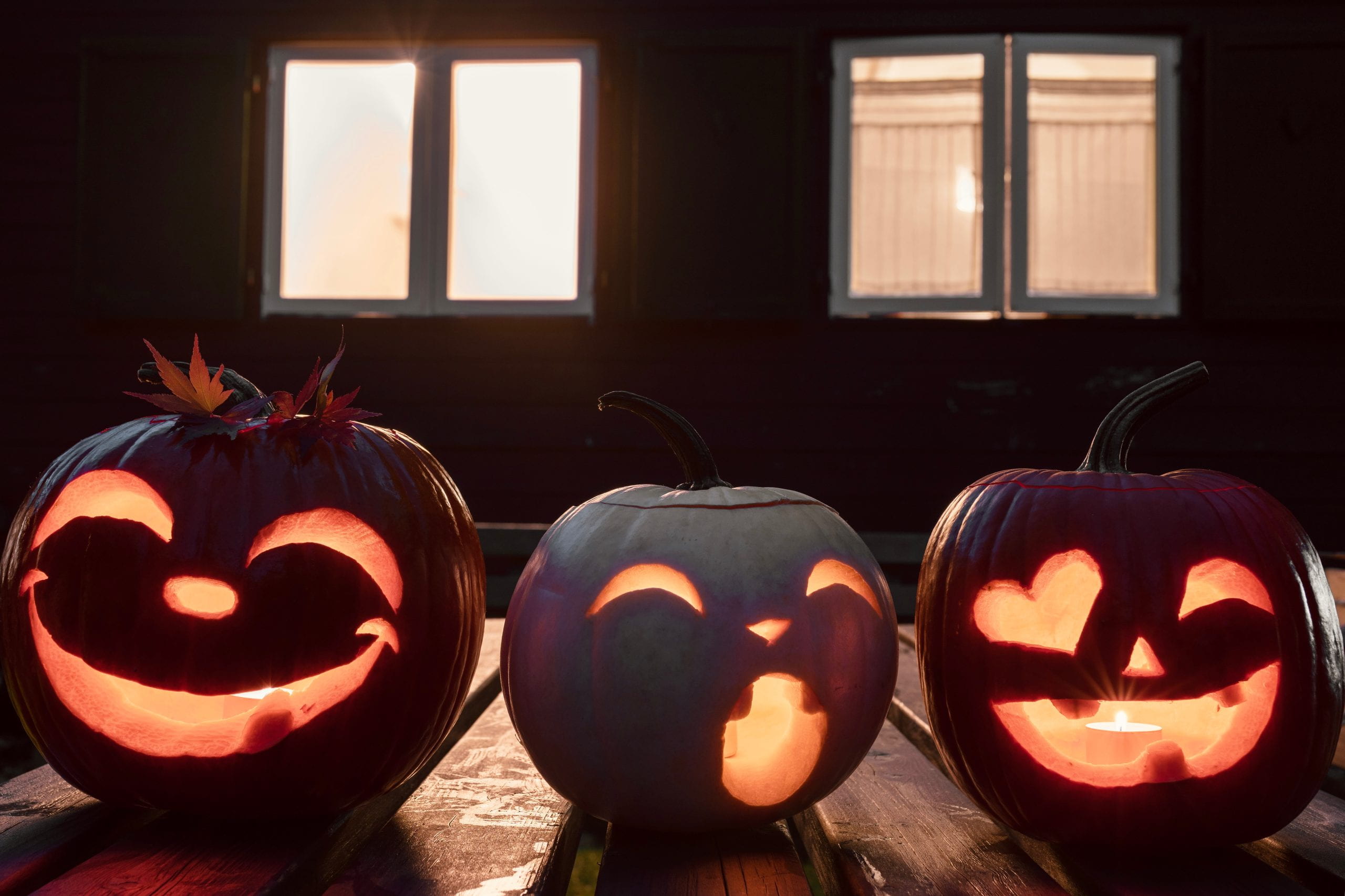 Three pumpkins in front of a window