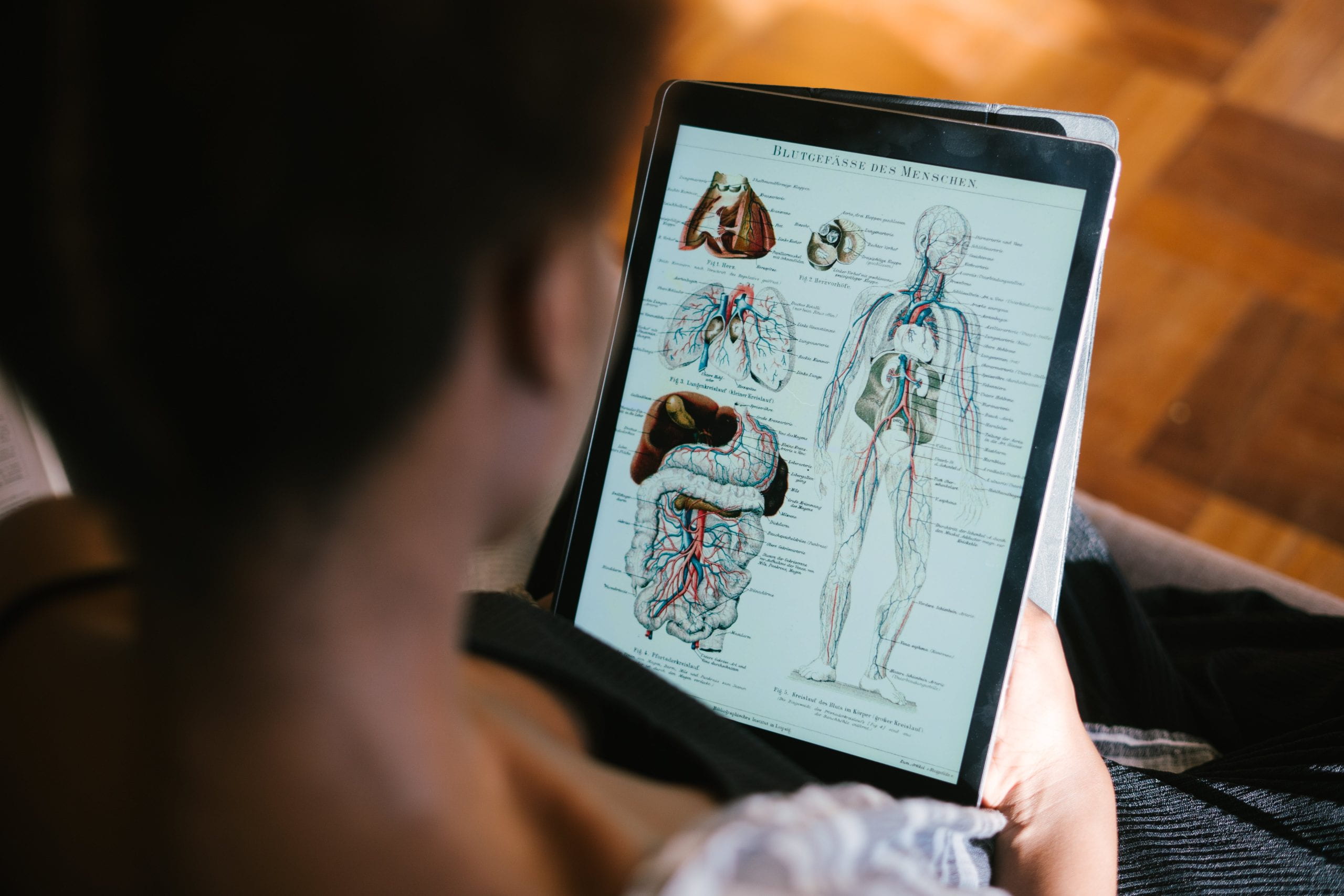 Person looking at an iPad, with a human diagram on it